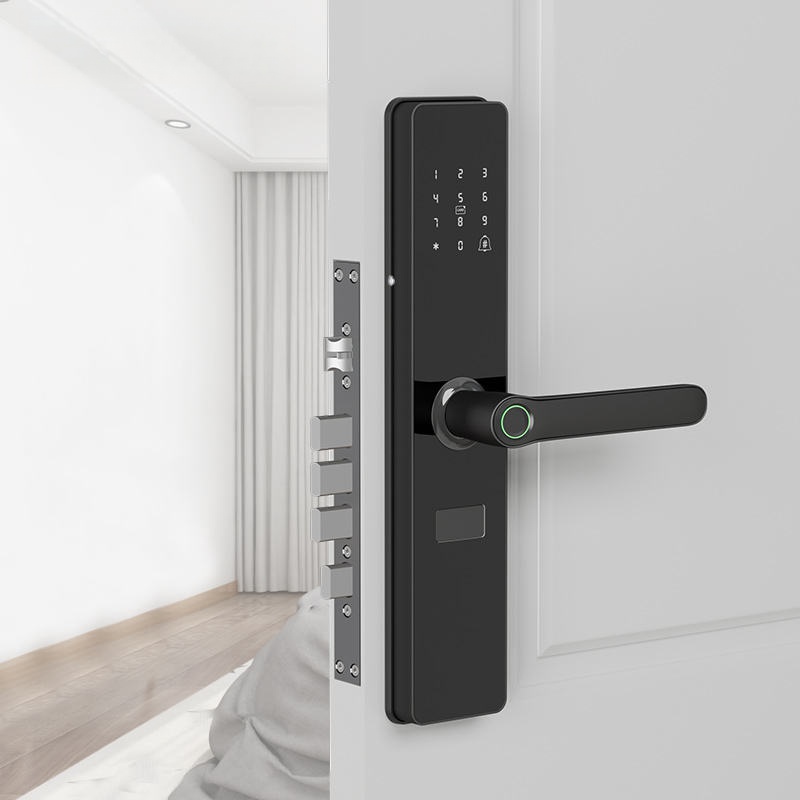 Fingerprint Access Control Door - Anti Theft Smart Door Lock TTLock