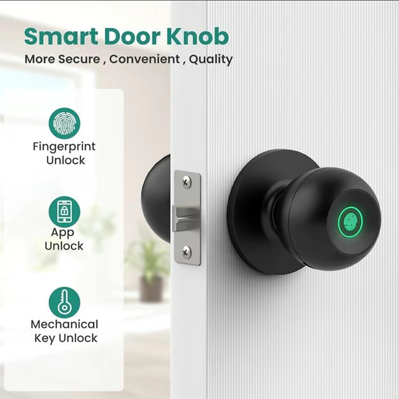 Bluetooth Tuya APP Control Sma - огляд і ціна Fingerprint Access Control Door