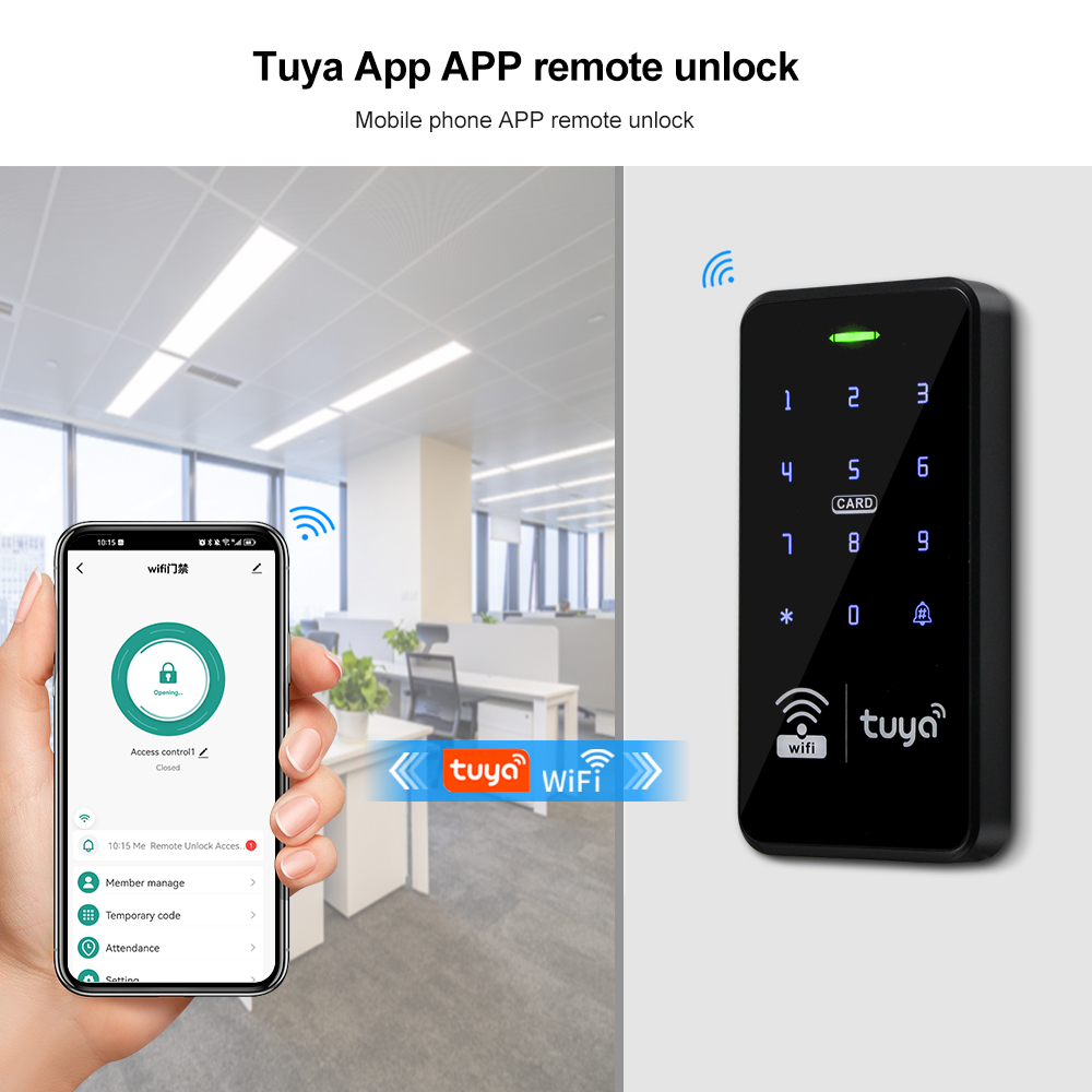 Tuya WiFi Door Access Control  - огляд і ціна Access Control System Rfid Kit